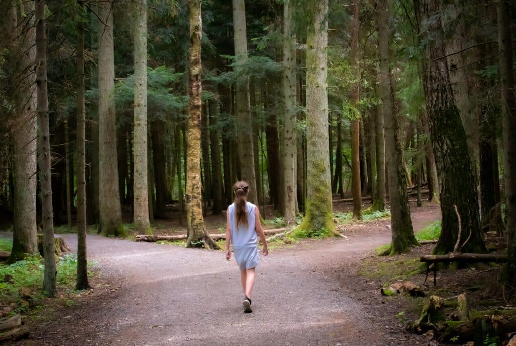 nervous system and self-sabotage